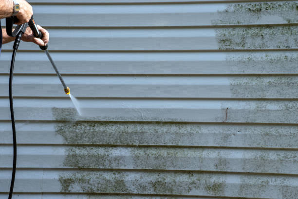 Best Aluminum Siding Installation  in Grosse Pointe Farms, MI