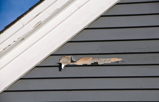 Best Steel Siding Installation  in Grosse Pointe Farms, MI