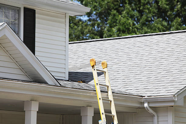 Best James Hardie Siding  in Grosse Pointe Farms, MI