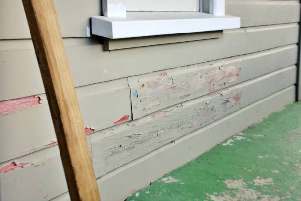 Best Stone Veneer Siding  in Grosse Pointe Farms, MI